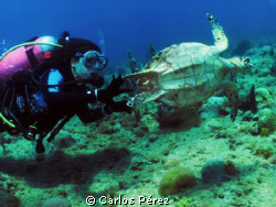 SeaLife 1200 manual set El Natural Aguadilla PR by Carlos Pérez 